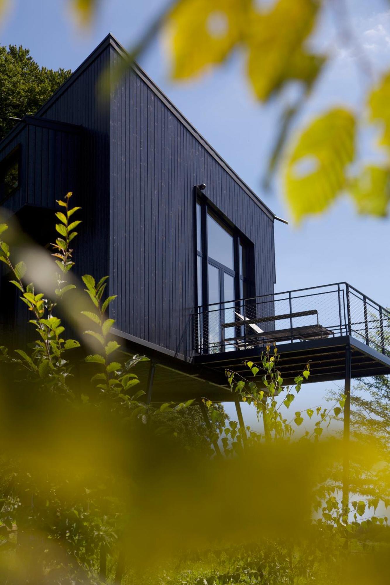Treeangle - K1 Baumhaus Vila Odenthal Exterior foto